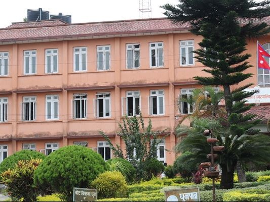 मेचीनगरमा ‘न्युट्रेला’ उद्योग